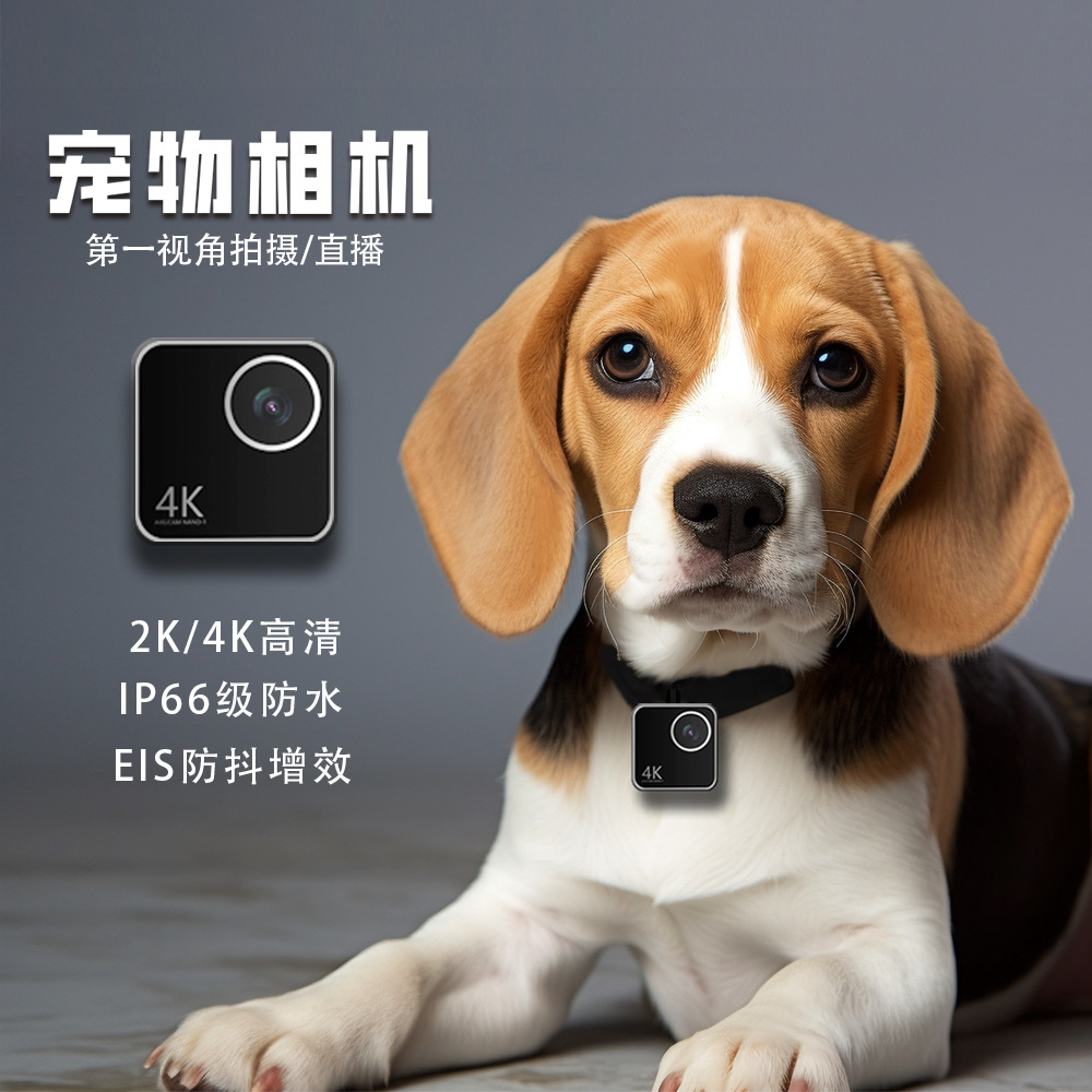 Cameras - Cámara inteligente para mascotas, gatos y
