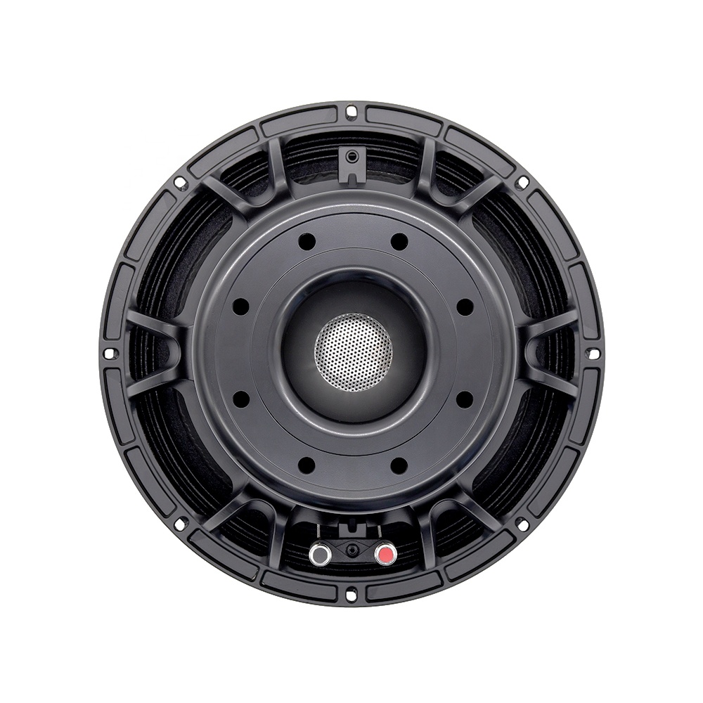 Speakers - Equipo de Audio Profesional 12DS, Altavoz