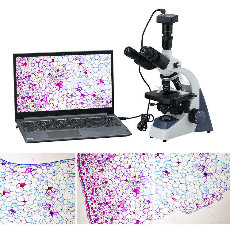 Microscopio Digital Biológico  - Cameras reseña y precio