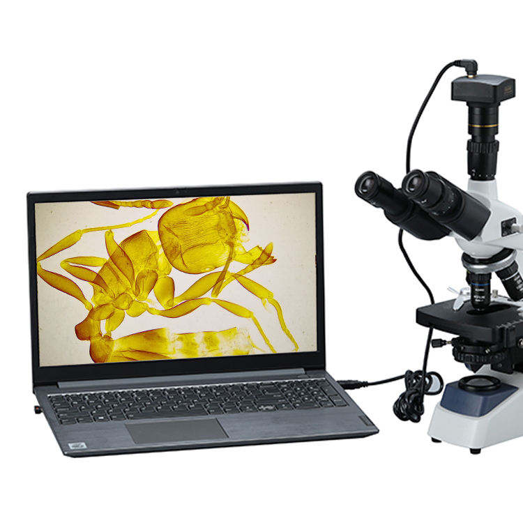 Microscopio Digital Biológico  - Cameras reseña y precio